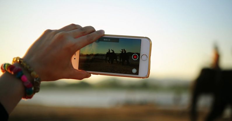 Video - Person Taking Photo of Elephants